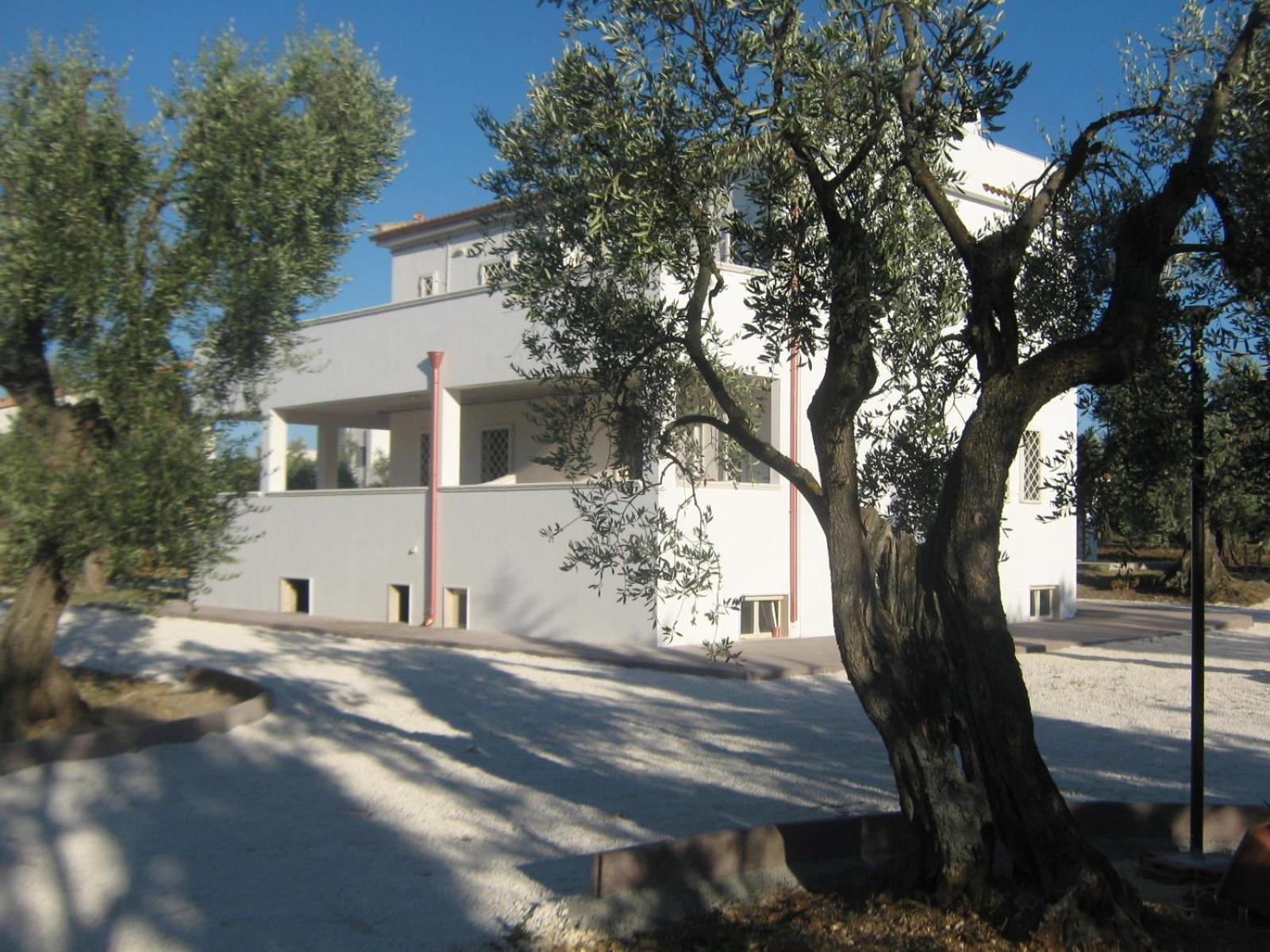 Villa Medina Vieste Exterior foto